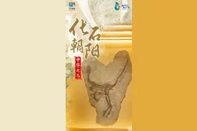 化石·朝阳丨叩响时空之门 遇见亿万年前的生命印记图片