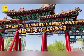 拔不动腿了！春日沉浸式打卡大明湖趵突泉五龙潭，法国师生一日游爱上泉城济南图片