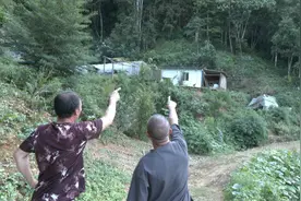 文山广南：胡蜂养殖让闲置“青山”变致富“金山”图片