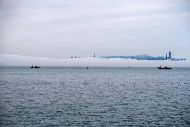 漫步青岛海滨