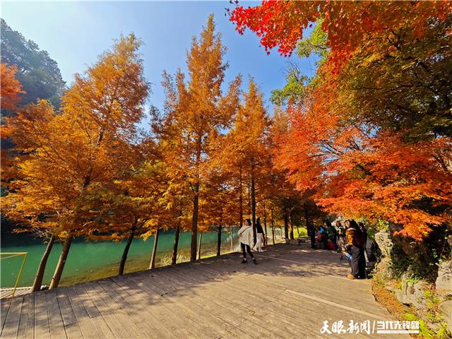 苗寨桃花岛 醉美乌羊麻