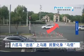 惊呆了！武汉马路上突然出现一群……交警：如果受到刺激，后果将不可控图片
