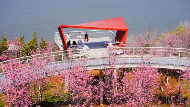 在一片樱粉浪漫中，邂逅晋宁的山与桥~