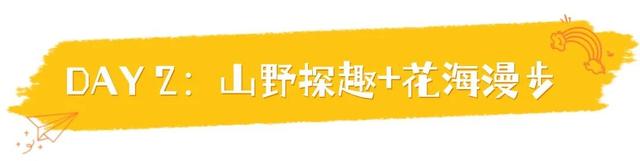 出发！跟着稻马去高明旅行！