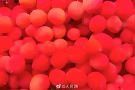 金西梅并非新鲜水果而是蜜饯图片
