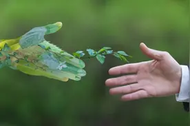 年内第三只翻倍股再度涨停 金奥博凭机器人概念获机构游资追捧图片