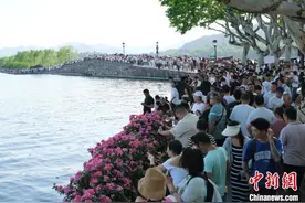 浙江杭州：西湖畔游人如织图片