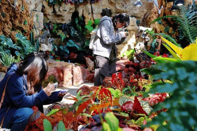 国家植物园暮春繁花正盛！金奖花坛惊艳亮相