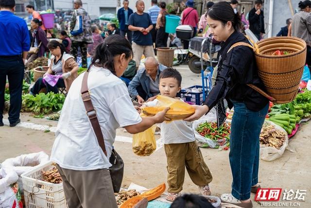 秋游时刻丨湘西苗族聚集地的赶集日常，藏着最鲜活的民族烟火