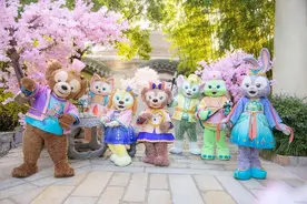 玩消失、被拉黑……山寨迪士尼VIP服务，花几千还是带你排队图片