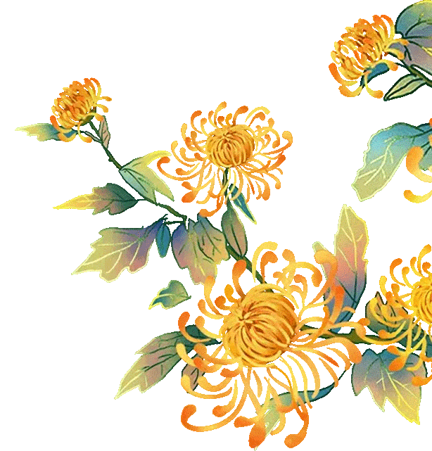 九九重阳，梨木台邀您共赴一场秋日敬老之约