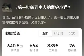 天河、番禺、海珠，最忙“一天跑了21家”，这个春节，大学生喂猫“10天赚了1万多图片