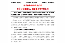 辣椒财经｜杉杉控制权之战迎结局！创始人之子交权，其继母正式接棒图片