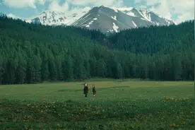 风景虽好但上厕所让人崩溃？阿勒泰市：沿街公共机构厕所对外开放免费使用图片