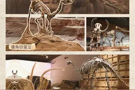 海报丨这个远古“朋友圈”，为啥引来200万+“围观”图片