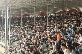 龙里醒狮：铁角争锋映烈日，鏖战两日决出 “牛中侠”图片