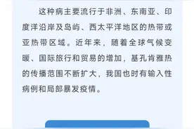 蚊子叮一下 可能不止“痒”这么简单图片