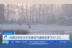 最低气温降至零下47.2℃！内蒙古呼伦贝尔出现“极寒”天气图片
