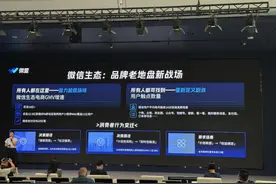 13亿社交流量的淘金热：微信电商“修管道”，SaaS军团“卖铲子”图片