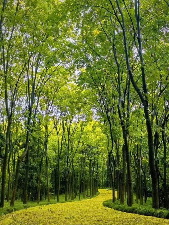 现在的宜兴，已经美成这样了……