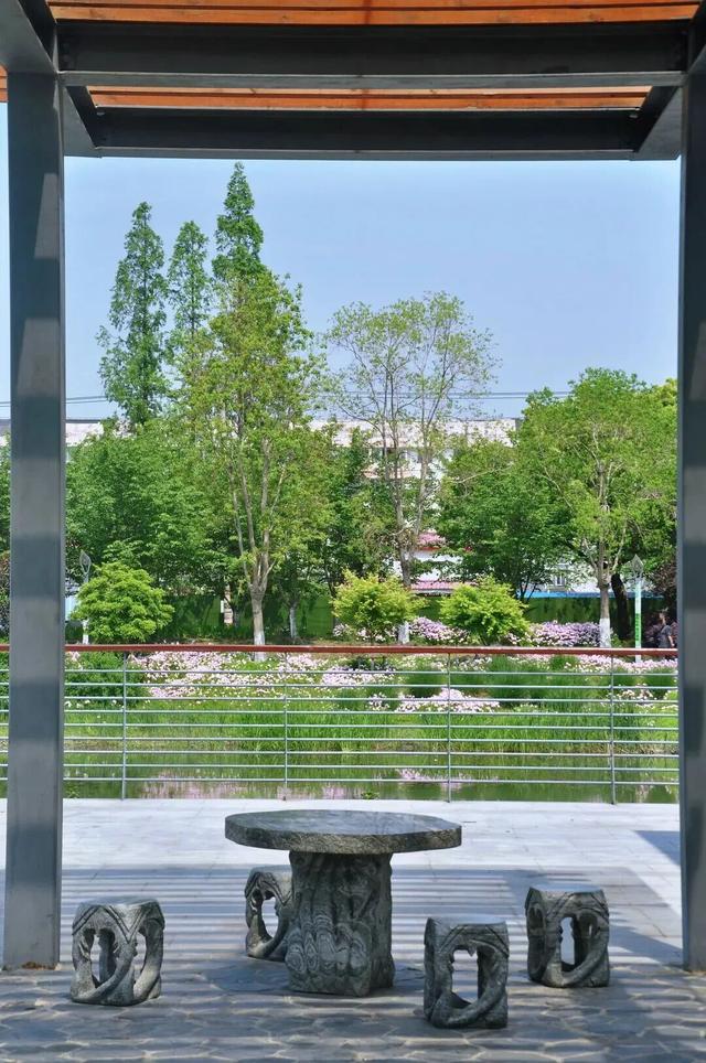 四季流转，青浦这座公园的颜值从来不掉线！