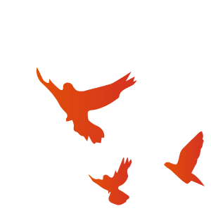 十二载初心不改，巴中青年再踏“重走红军路”征程