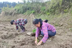 江口怒溪镇：图斑整治工作“长牙齿”措施得力效果好图片