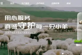 突然爆雷！用户无法提现图片