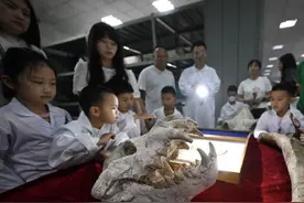 国际博物馆日丨萌娃“开箱”重庆自然博物馆神秘库房：我摸到亿年化石啦图片