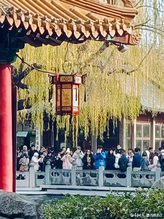 冬日趵突泉，寒风中美景依然