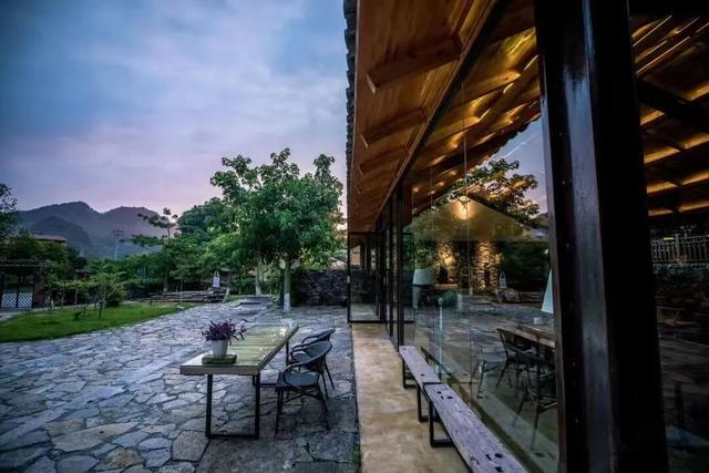 一口金桔甜，解锁融安初冬的N种玩法