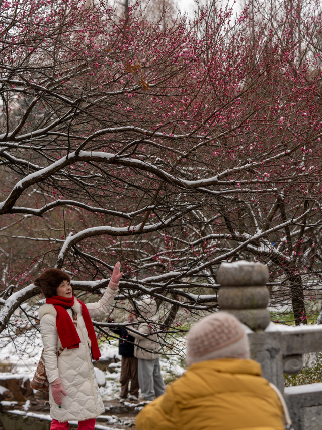 马鞍山这片花海，免费又出片！