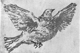 白鸽赴和平｜一场浪漫的“双向奔赴”图片