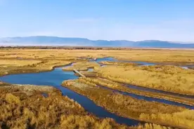 探访新疆科克苏湿地国家级自然保护区 候鸟过冬更安心图片