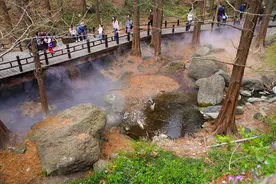 国家植物园：开始进入最佳赏花期，仙境薄雾赏春花图片