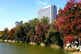 中国科大附一院（安徽省立医院）：在“变”中创新，在“恒”中守正图片