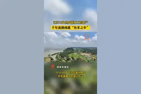 江苏三处世界灌溉工程遗产，千年流淌成就“鱼米之乡”图片