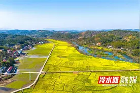永州冷水滩：春染大地 乡村如画图片