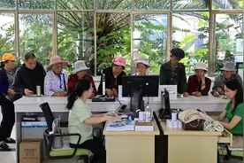 曲靖沾益：为＂银发避暑团＂提供＂一站式＂服务图片