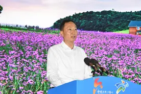 相约凉都·欢乐避暑 ｜ 康养水城 邀您择一城觅安居图片