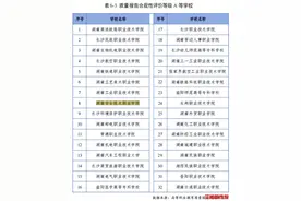 优秀！湖南安全职院获评湖南省2024年度“质量报告合规性评价等级A等学校”图片