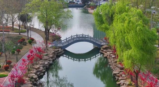 不负春光！这才是沈丘春日city walk的正确打开方式