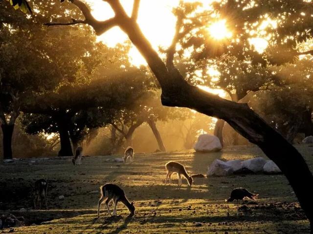 曲江这些地方入选重磅榜单！