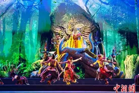 浙江文化观察：千年畲族文化何以“活化”？图片