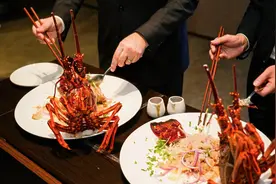 吃货有口福了！澳大利亚活龙虾重返中国市场图片