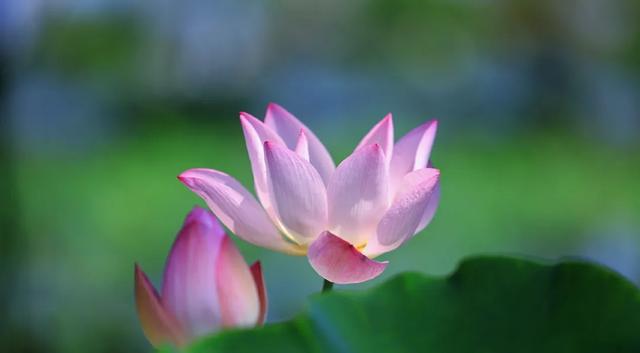 无锡，今天最江南！