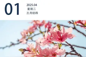 广东出台公务用车管理新规｜早安广东图片