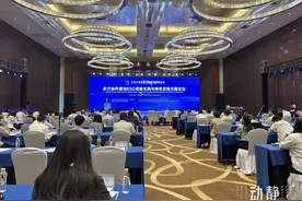 近10年贵州森林覆盖率提升13.3%图片