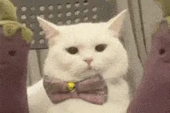 老仓库爆改浪漫建筑！新晋网红打卡地就在宝山！ | 爱申活暖心春图片