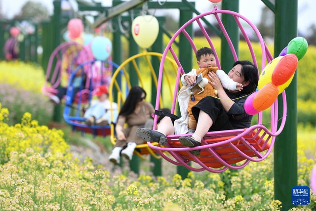 陕西汉中：金色花海里的农文旅融合新图景